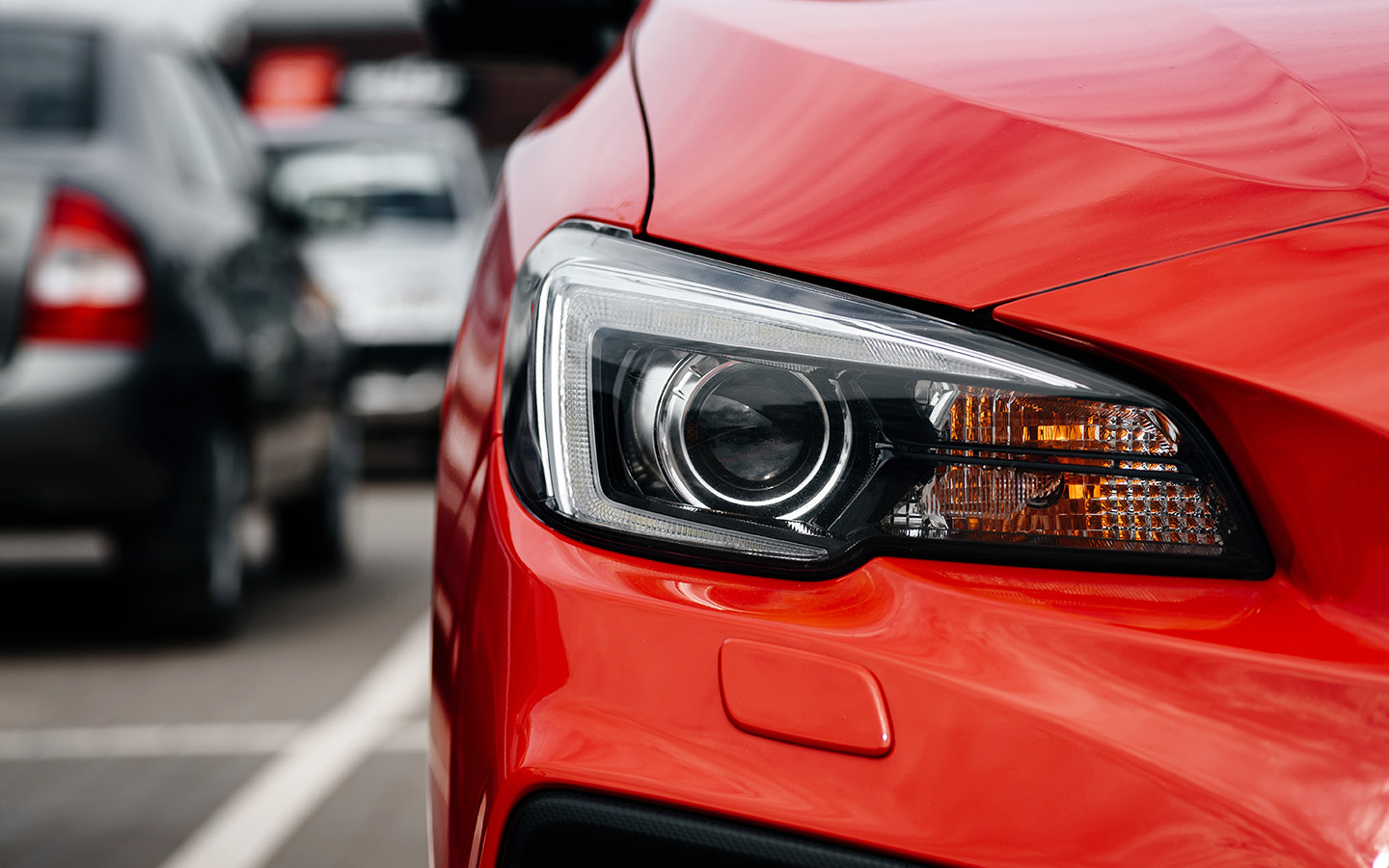 Фото: Anton Pentegov / Shutterstock / FOTODOM