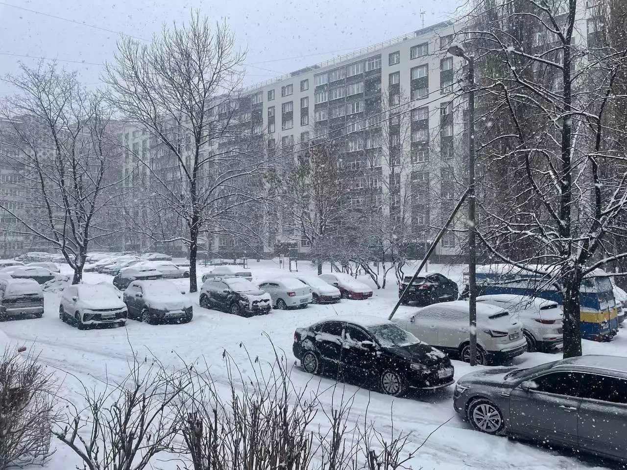 Марина Маркевич