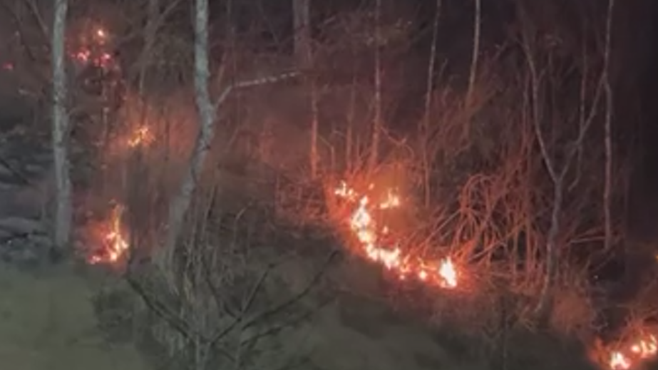 На юге Приморья ввели особый противопожарный режим