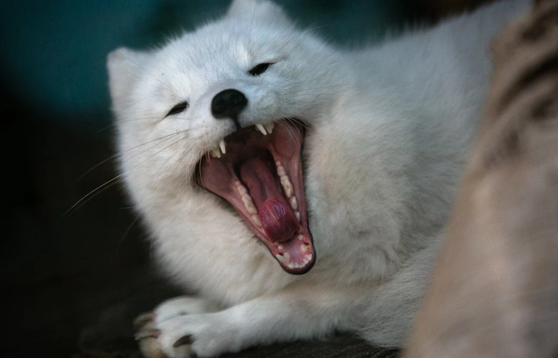 Владимир Андреев / URA.RU 