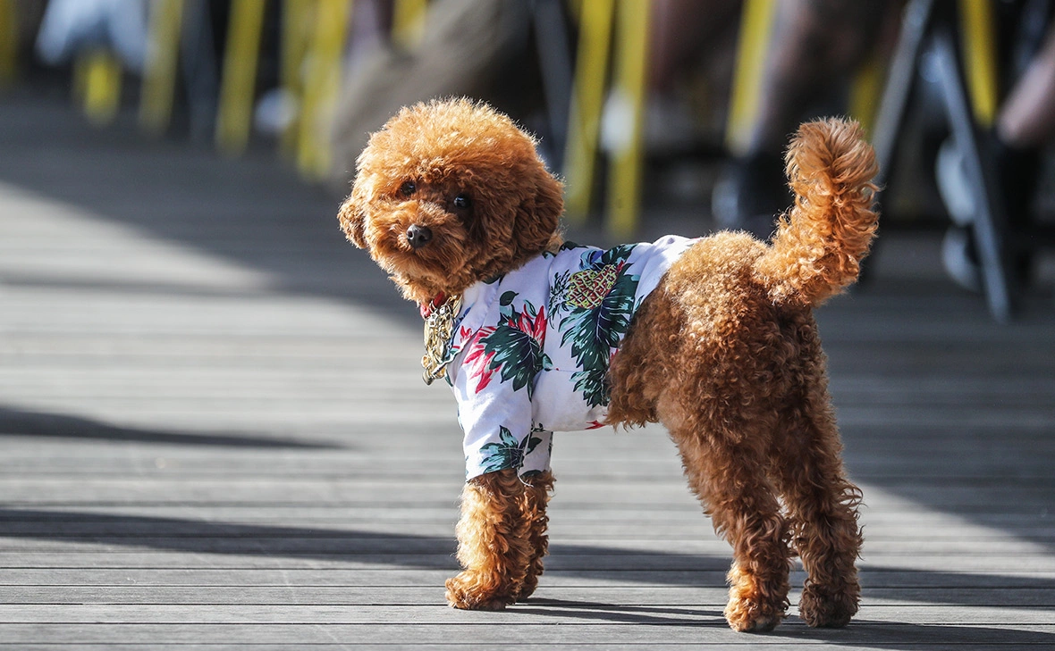 Сергей Булкин / news.ru / Global Look Press