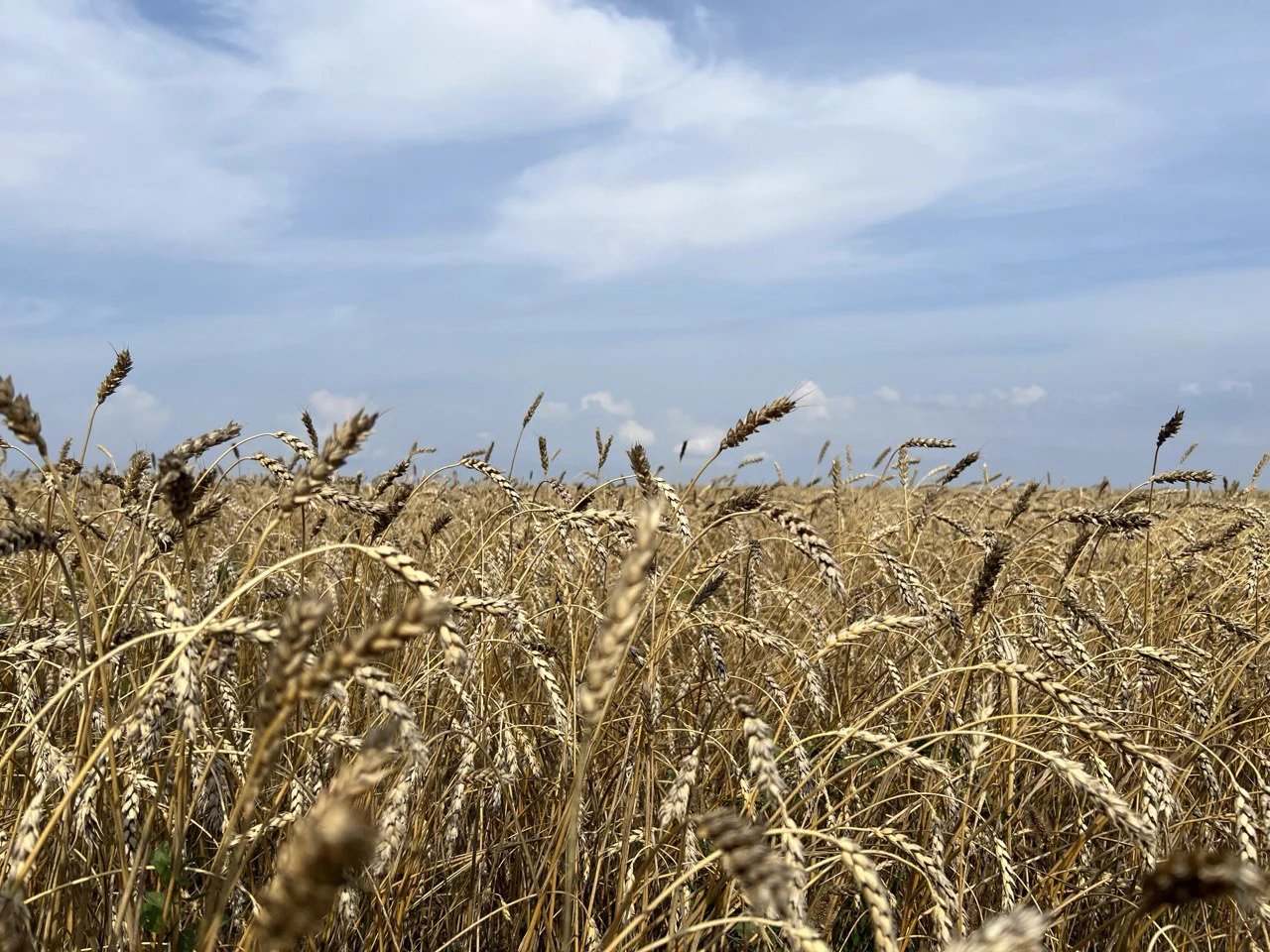 РБК Татарстан