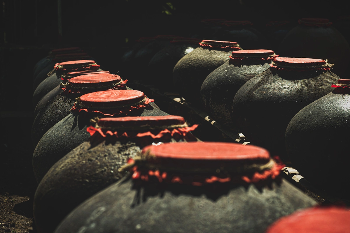 В 1837 году исследователи Шарль Каньяр де Ла-Тур, Теодор Шванн и Фридрих Кютцинг независимо друг от друга опубликовали работы, в которых впервые доказали, что дрожжи — это живые организмы, благодаря которым брожение в вине возможно