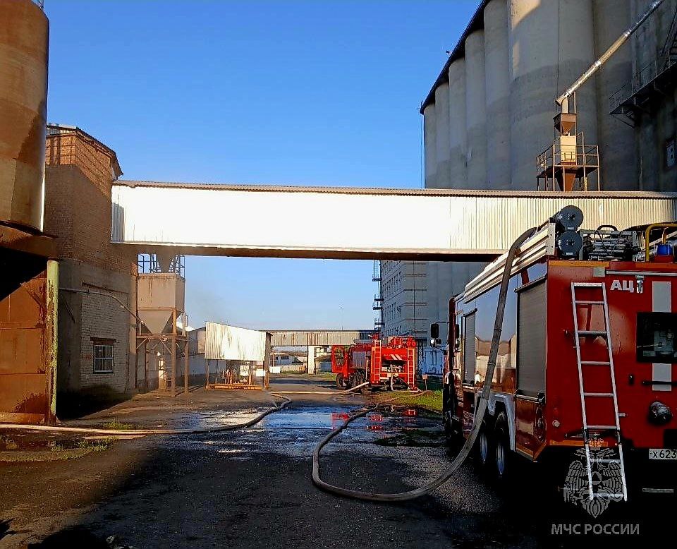 Фото: МЧС Тюменской области