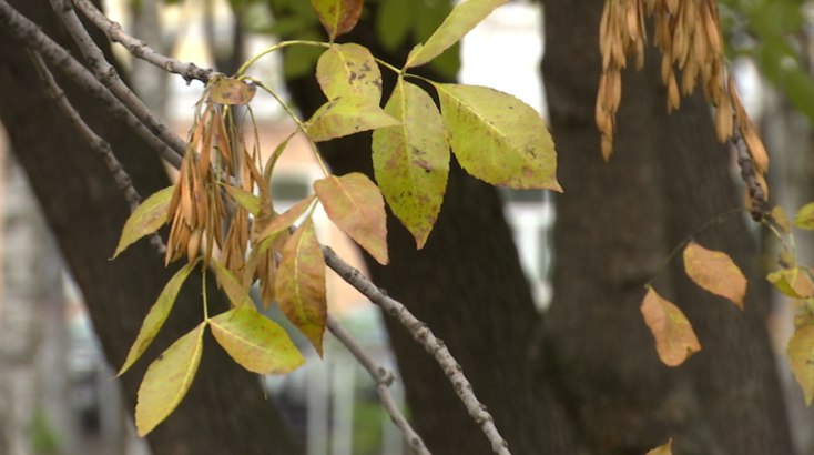 Фото: РБК Пермь