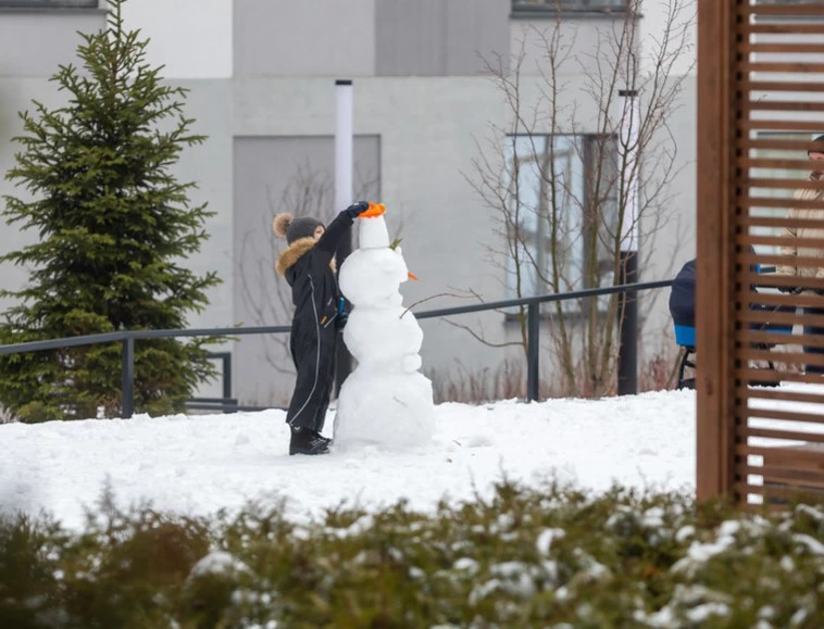 «Брусника»