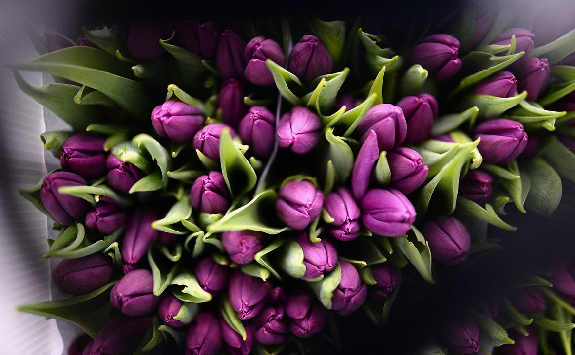 Александр Кряжев / РИА Новости