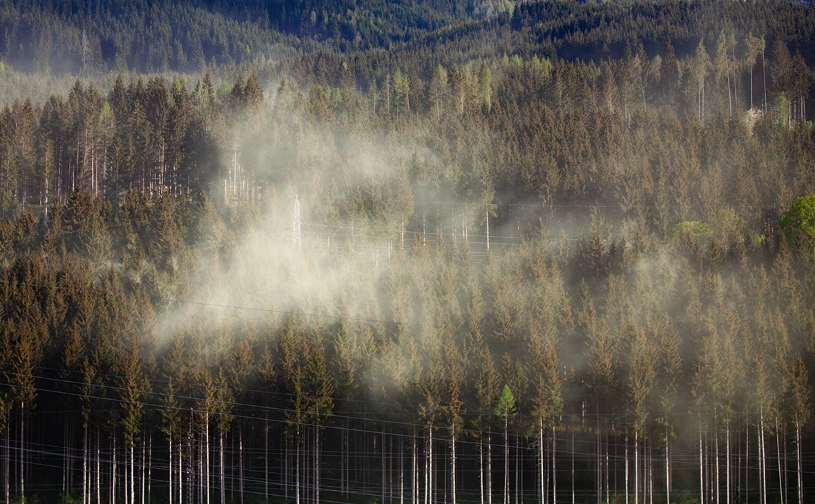 Stefanie Oberhauser / EIBNER / EXPA / Global Look Press