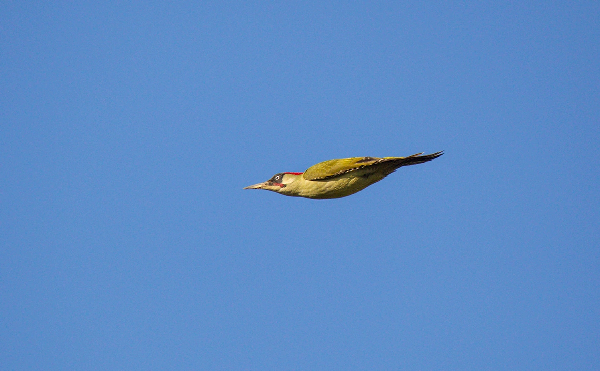 R. Schols / Agami / imago-images.de / Global Look Press