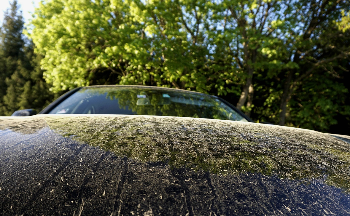 Imago-images / Global Look Press