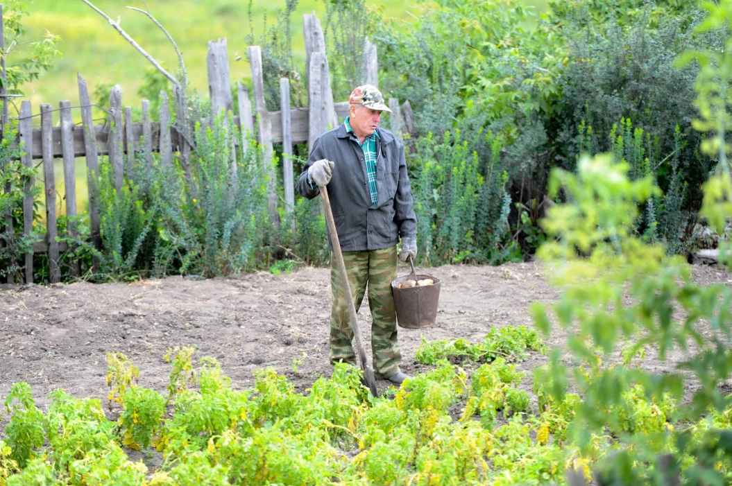 Вадим Ахметов / РИА URA.RU