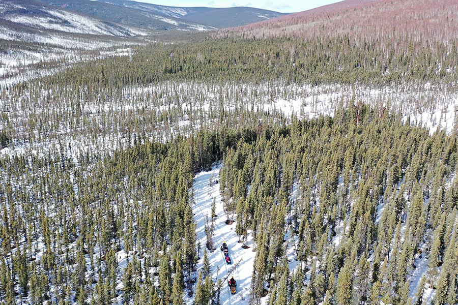 Фото: Mario Tama / Getty Images