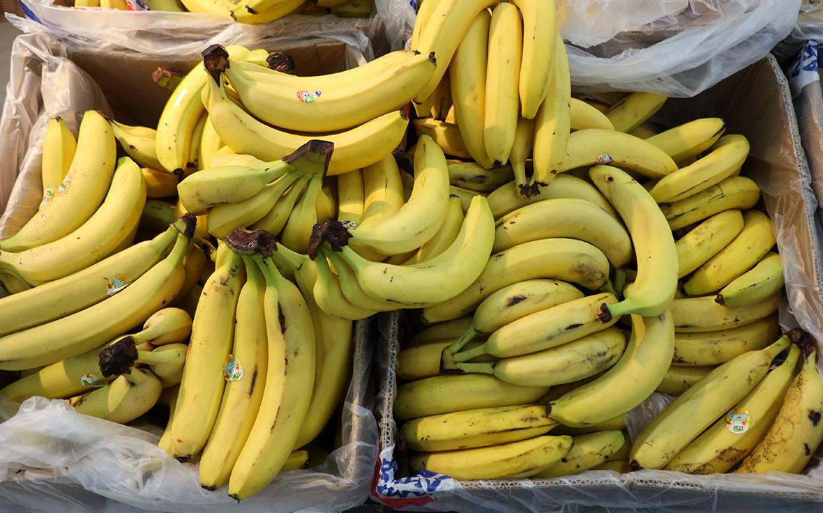 Росстандарт опроверг запрет ввозить в Россию бананы меньше 14 см