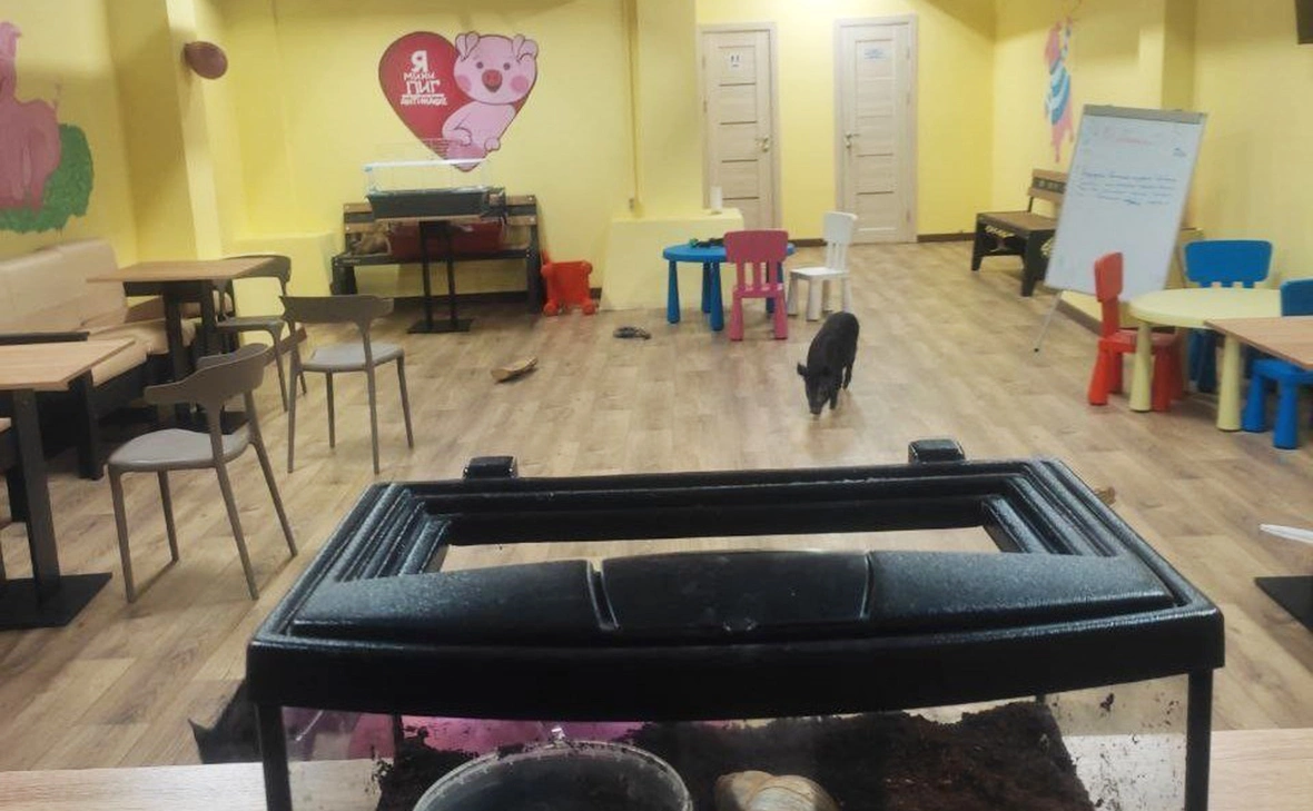 Управление Россельхознадзора по Тверской и Ярославской областям