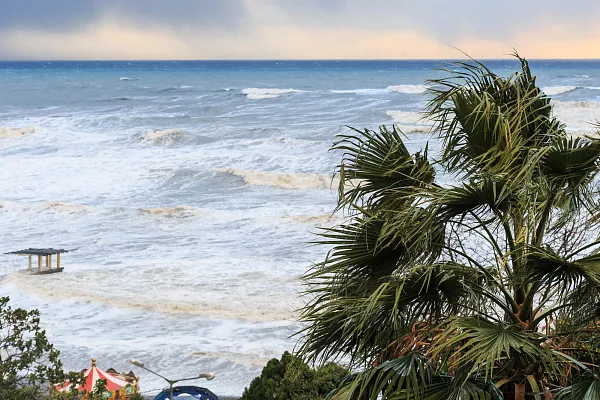 пресс-служба администрации Сочи