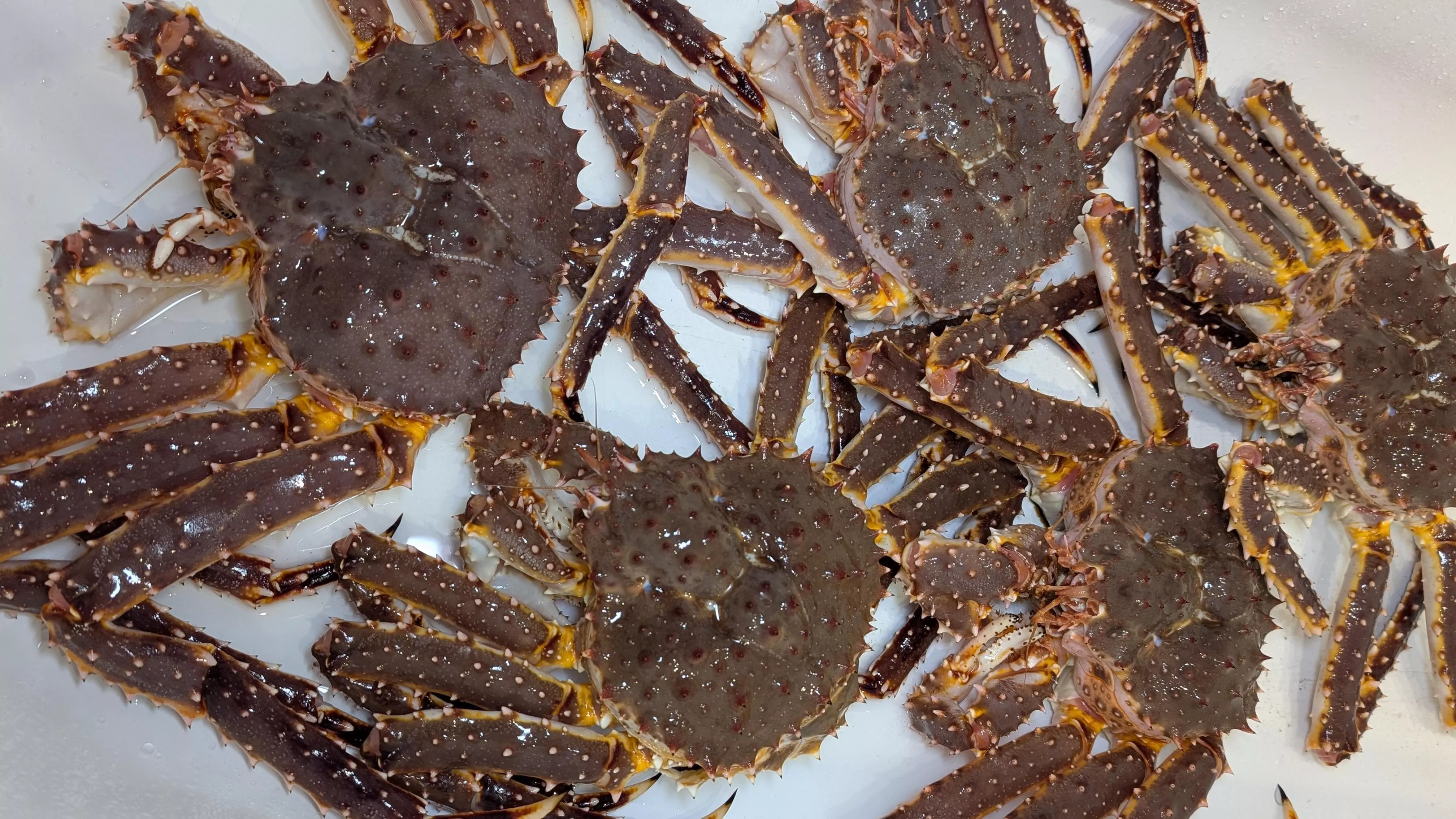 РБК Приморье