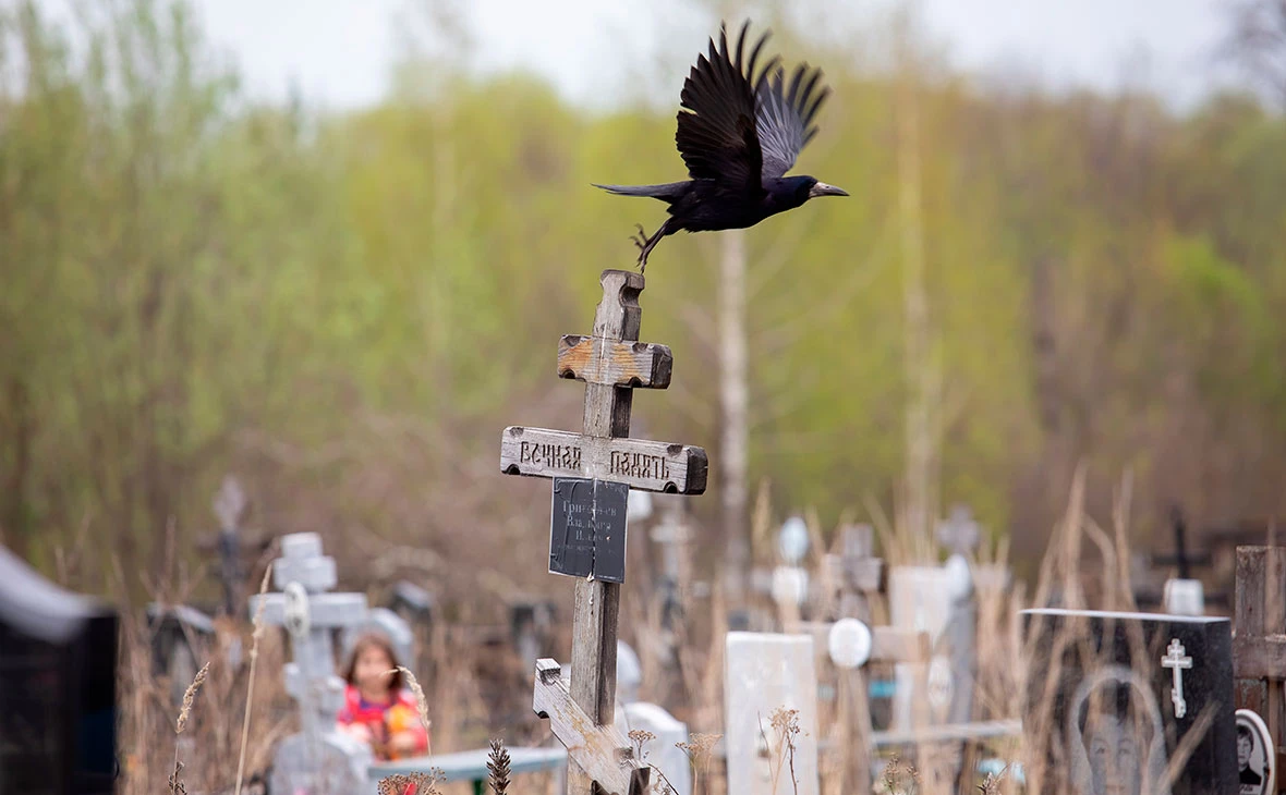 Ксения Богданова / Shutterstock