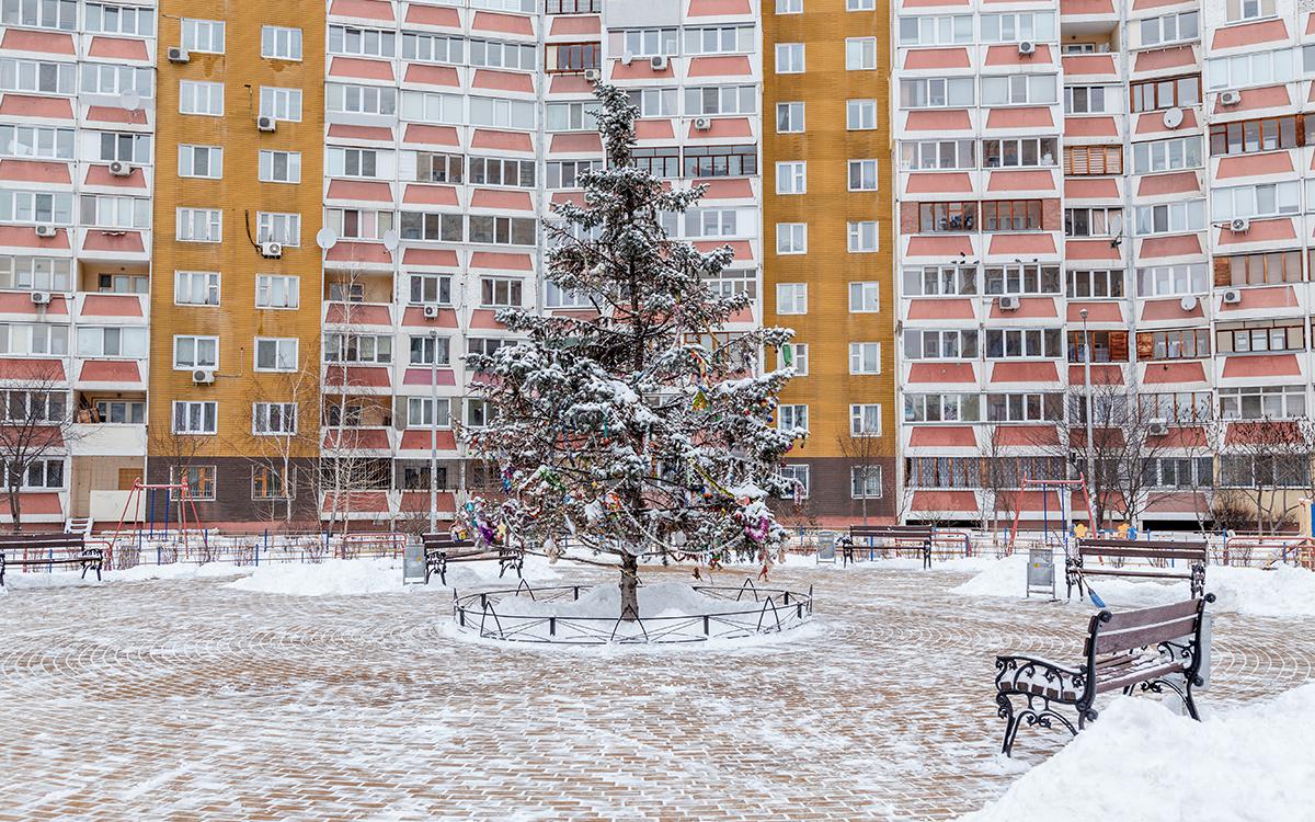 Фото: Stone36 / Shutterstock / FOTODOM