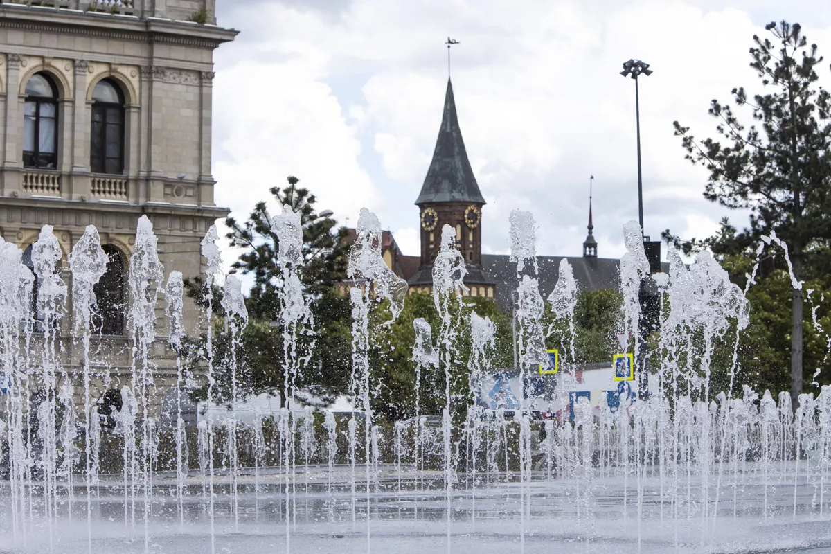 Александр Подгорчук