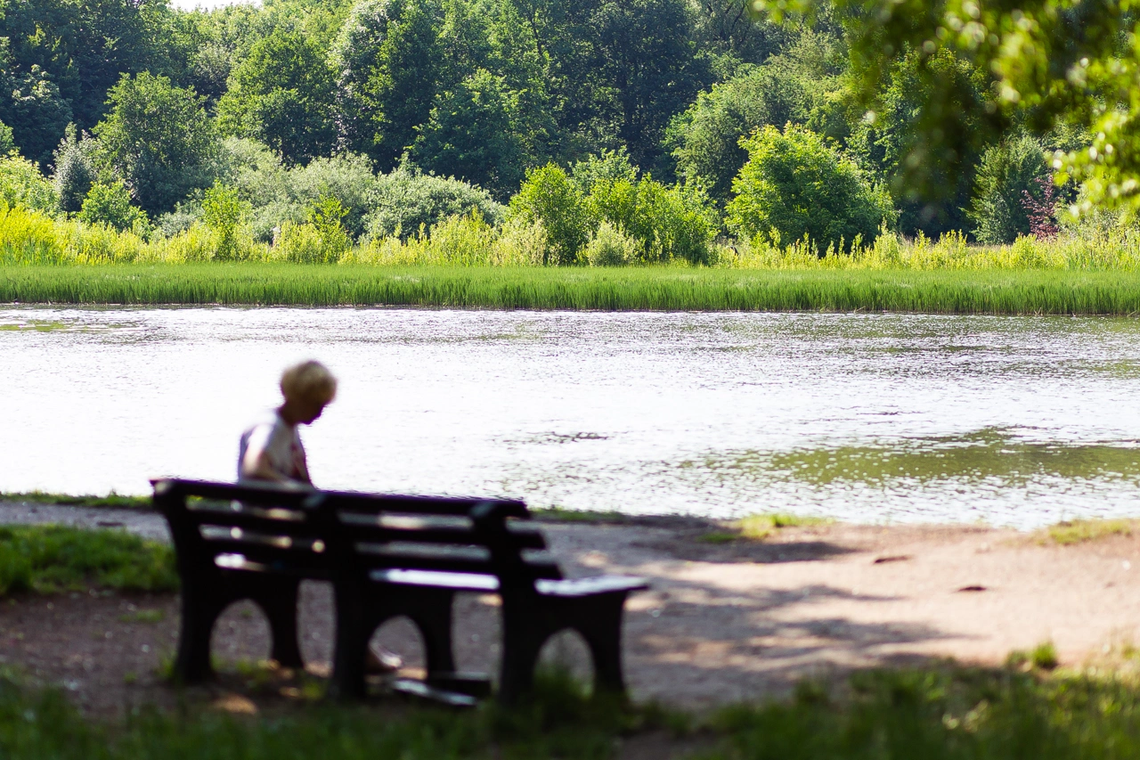 Александр Подгорчук