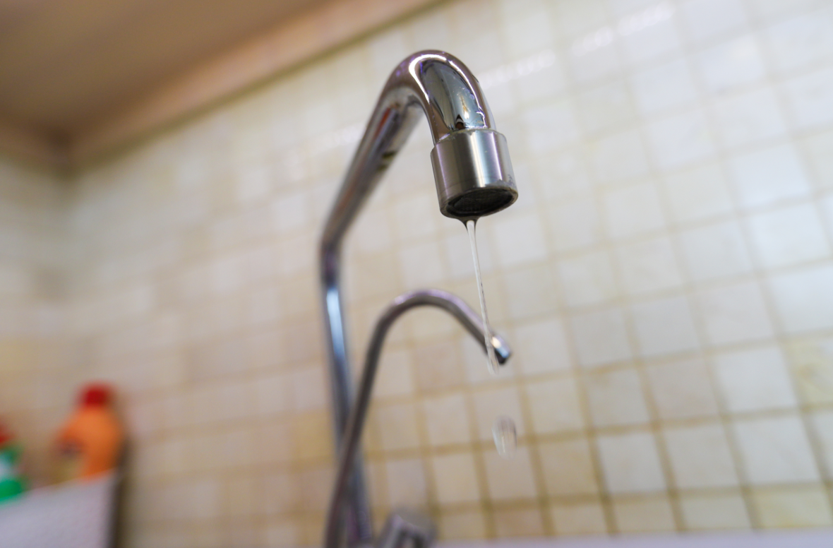 Екатерина Сычкова / URA.RU