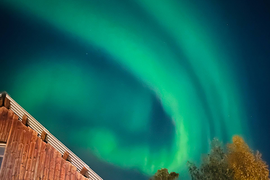 Фото: marusy_ax / Telegram