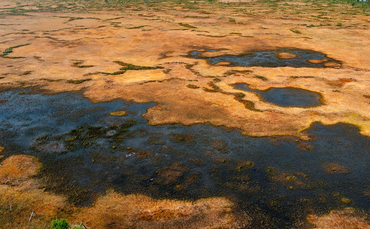 M. Woike / IMAGO / Global Look Press