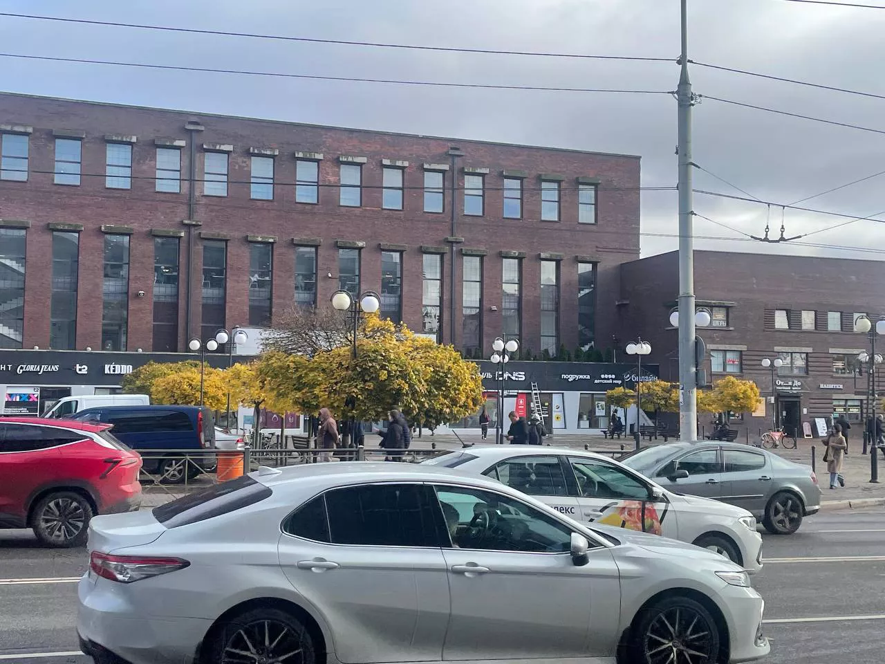 Марина Маркевич