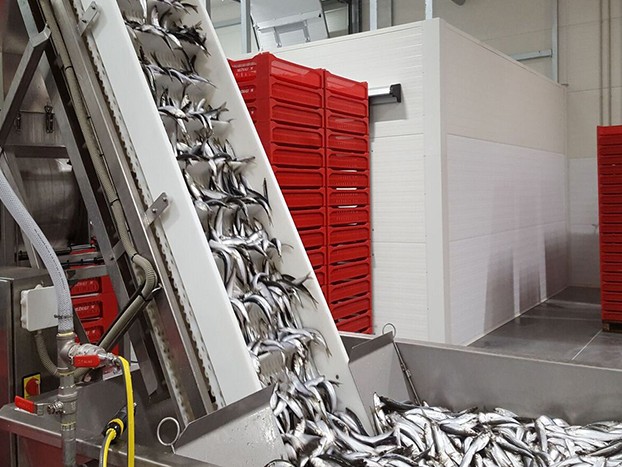 Фото: сайт компании "За Родину"