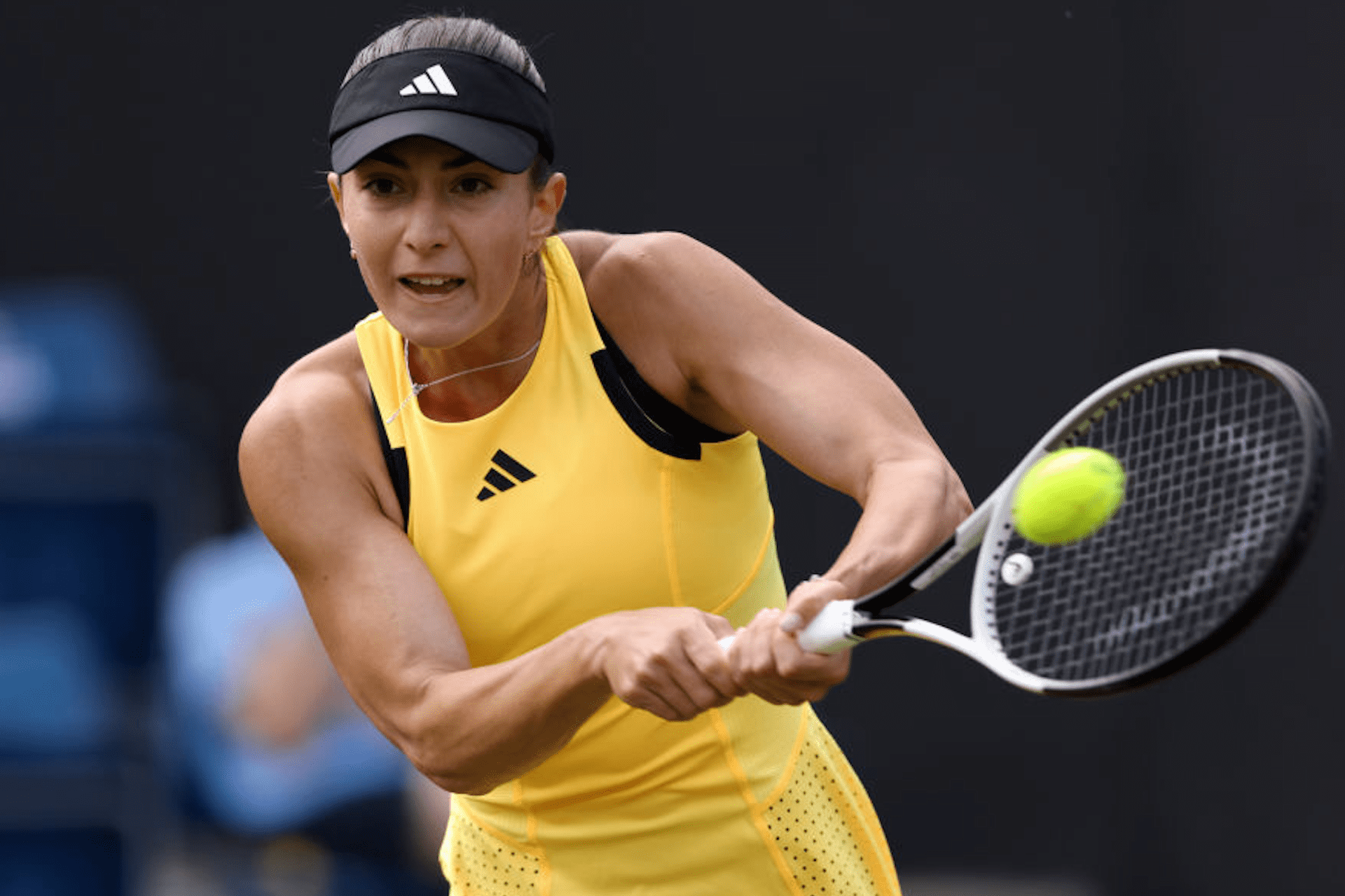 Элина Аванесян