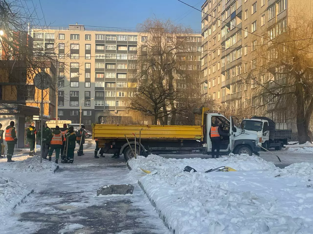Марина Маркевич