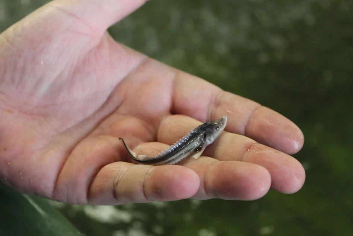 Пресс-служба правительства Ростовской области