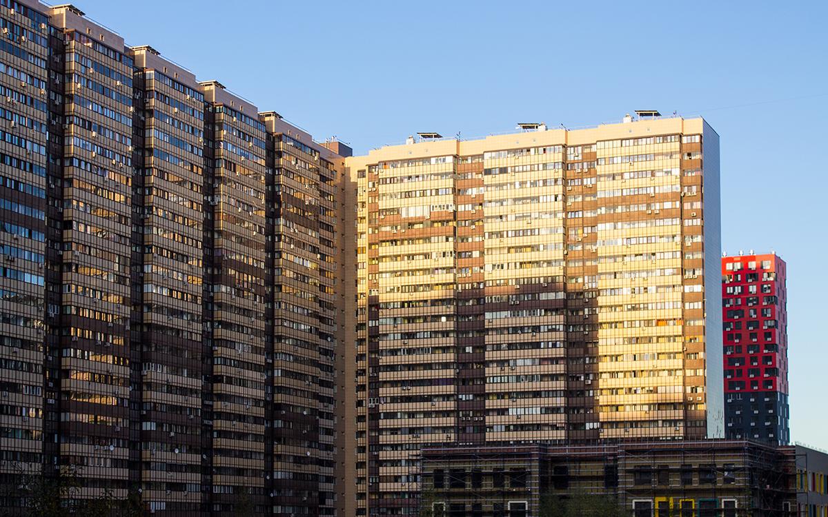 Фото: Sofia Voronkova / Shutterstock / FOTODOM