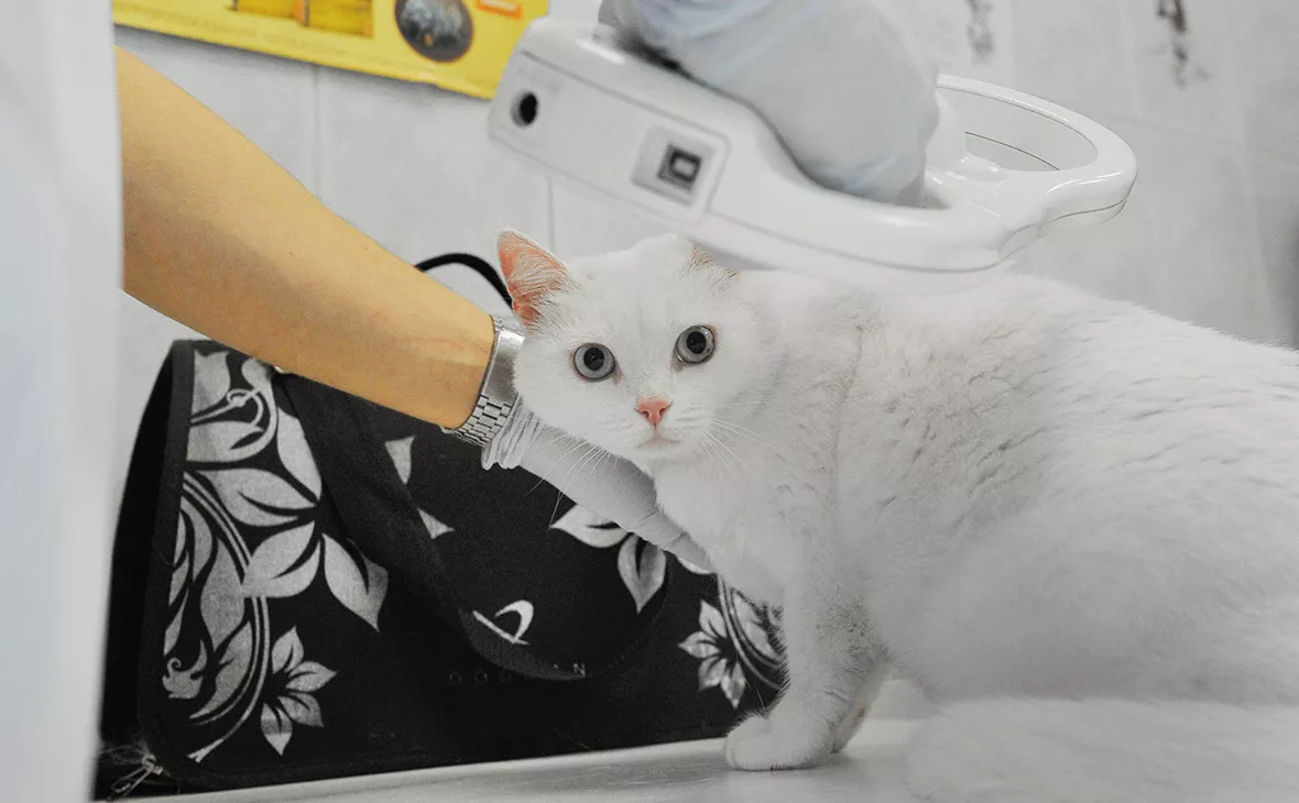 Александр Авилов / АГН «Москва»