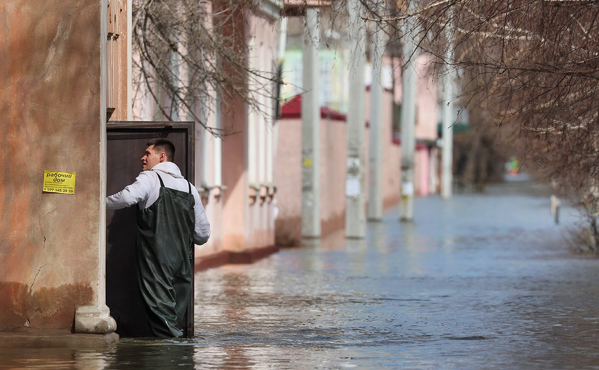 Егор Алеев / ТАСС