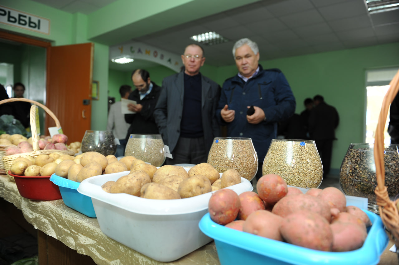 Фото: agro.tatarstan.ru