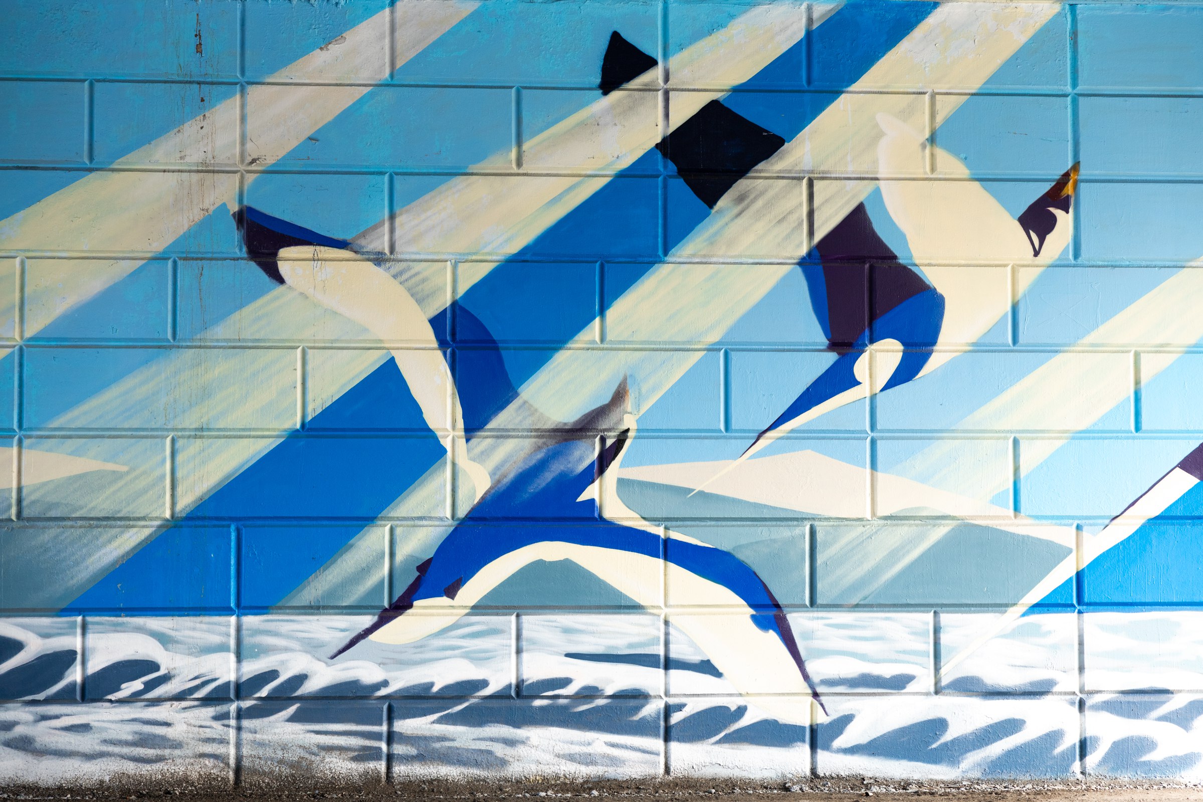 Фото: Администрация Владивостока