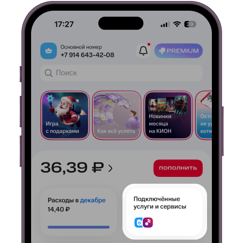 На главном экране нажмите &laquo;Подключенные услуги и сервисы&raquo;