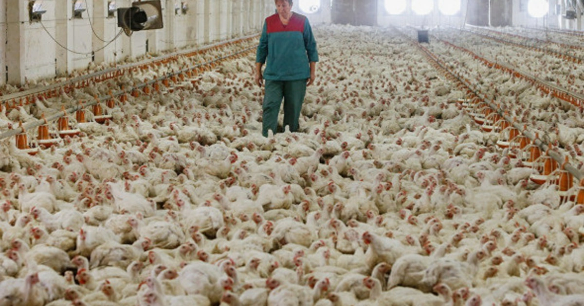 Егор Еремов / РИА Новости