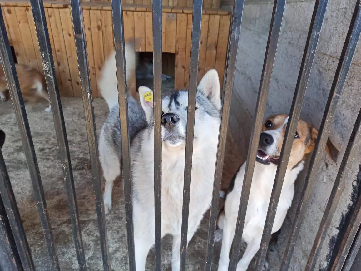 пресс-служба администрации Владивостока