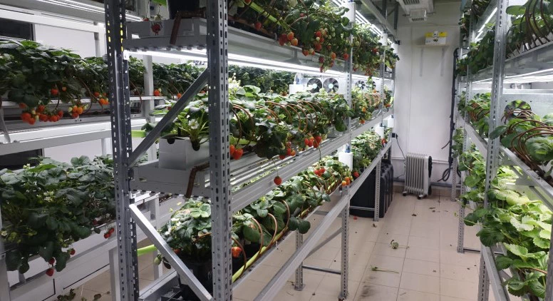 Пресс-служба правительства Новосибирской области