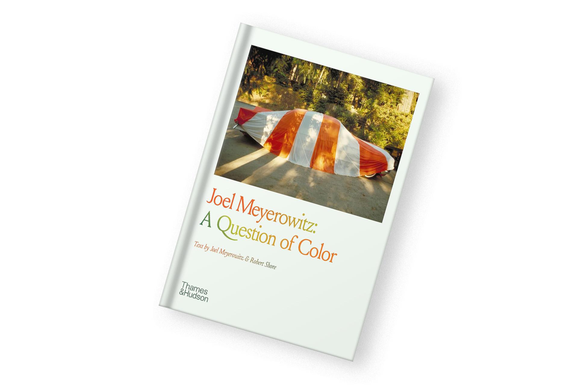 «A Question of Color», Joel Meyerowitz