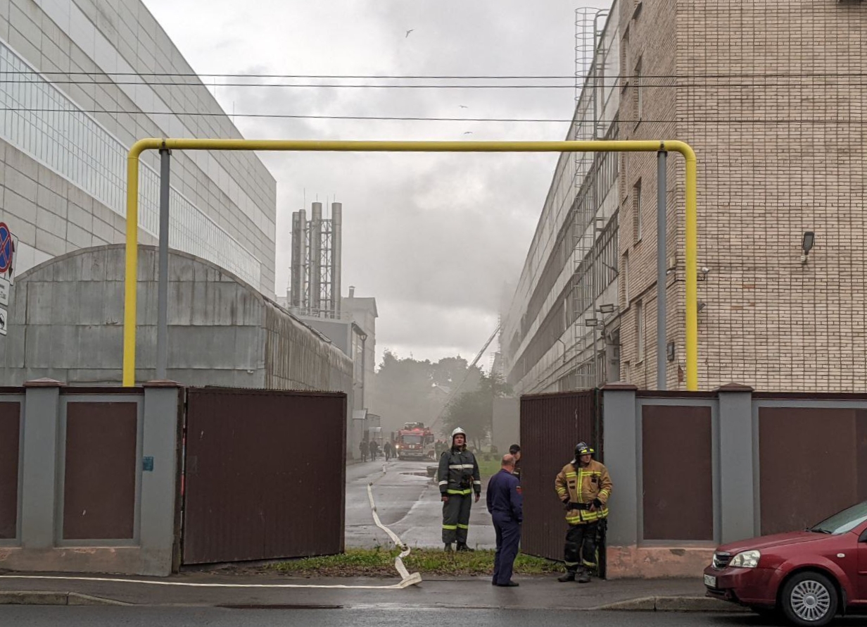 Фото: Megapolisonline / tg