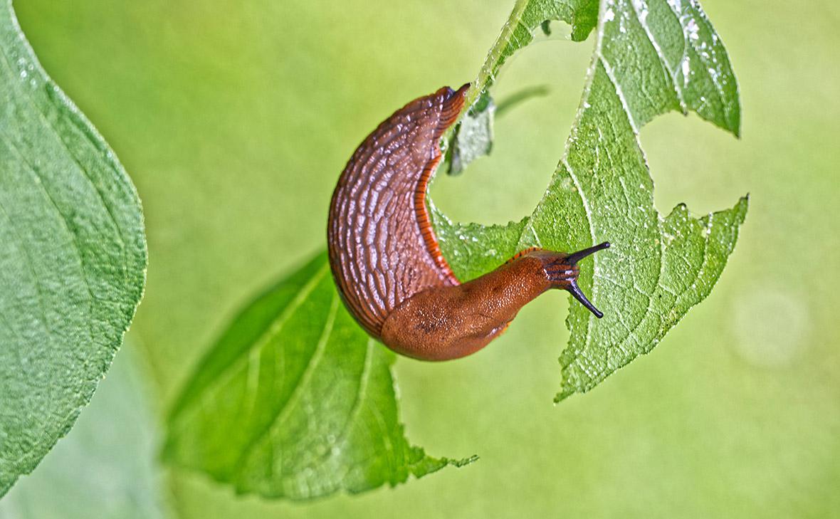 Фото: Rolf Poss / IMAGO / TACC