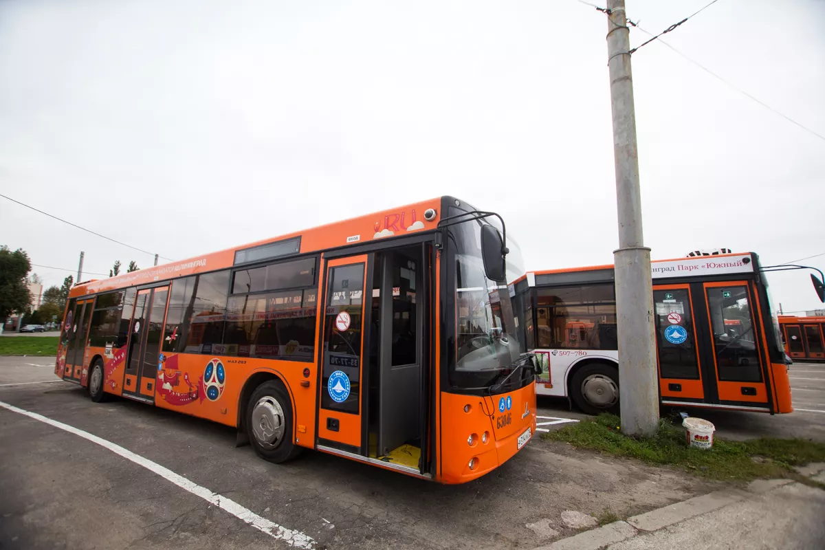Александр Подгорчук