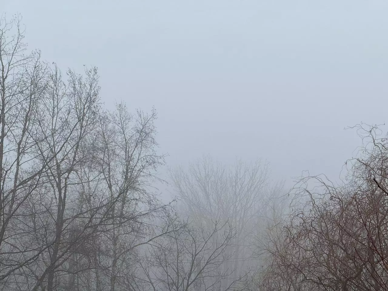 РБК Приморье