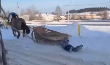 Фото: соцсети Алексея Деткина