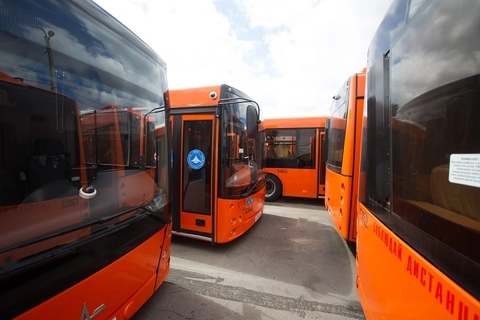 Александр Подгорчук