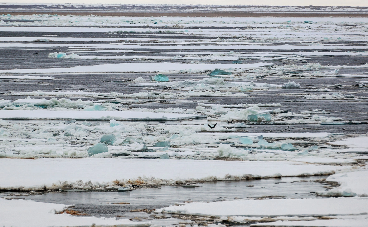 Антон Денисов / РИА Новости