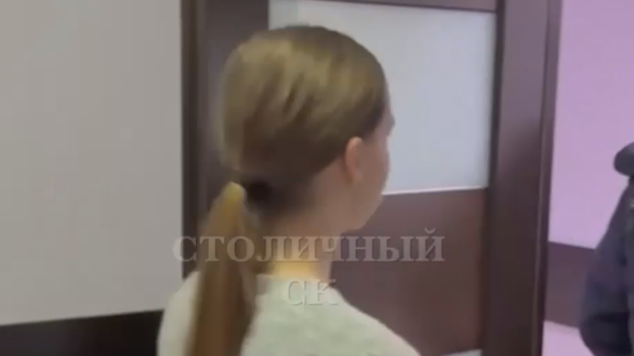 Блогера Митрошину доставили в Москву для допроса